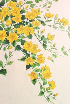 a drawing of yellow flowers on a white paper with green leaves and stems in the center