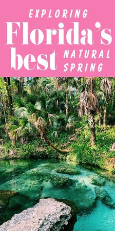 the florida's best natural spring with text overlay