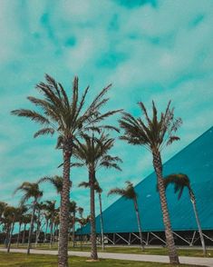 palm trees in front of a large blue building