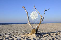 a piece of driftwood sitting on top of a sandy beach