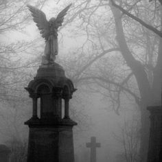 an angel statue on top of a grave in a cemetery surrounded by trees and fog