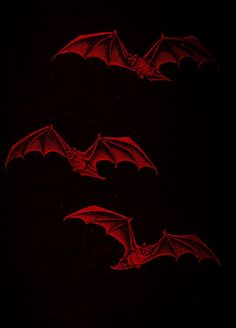 three red bats flying in the dark