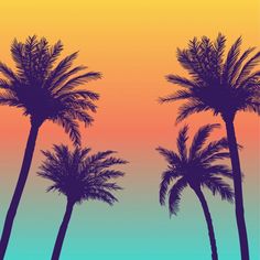 three palm trees are silhouetted against an orange and blue sky