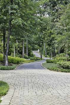 a paved road surrounded by trees and bushes