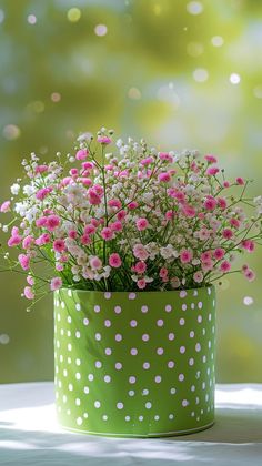 pink and white flowers in a green polka dot pot