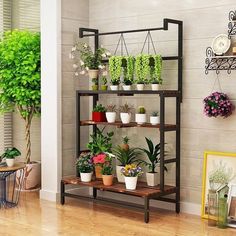 a shelf filled with potted plants on top of a hard wood floor next to a wall