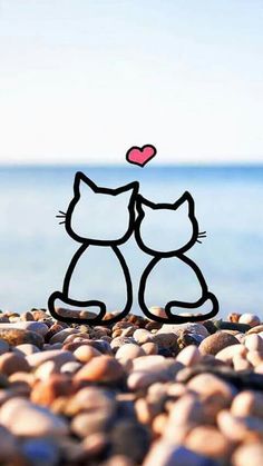 an image of two cats kissing on the rocks by the ocean with a heart above them