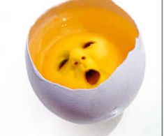 Simple Pfp, Egg Baby, Eggs For Baby, Weird Images, Inside Jokes, Internet Funny