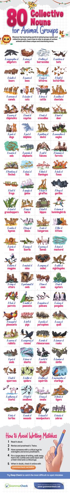 Great poster for classrooms. #animals #school Pride Of Lions, Literary Humor, Group Names, Basic Grammar, Collective Nouns, Speaking Activities, Animal Groups, Writers Write