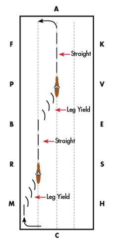 a diagram showing the direction of an object moving in opposite directions, from left to right