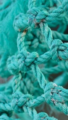 close up view of blue rope with knots