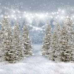 two snow covered trees with lights in the background