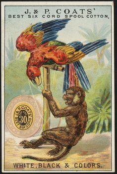 a postage stamp with a monkey and two parrots on it's back side