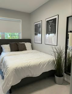 a bed sitting in a bedroom next to a window with pictures on the wall above it