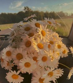 a bouquet of daisies in the back seat of a car