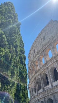 the sun shines brightly in front of an ancient roman collise and tree