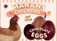 an egg and two chickens with the words chocolate eggs on it's front cover