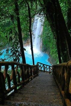 a wooden walkway leading to a waterfall in the woods next to a blue body of water