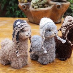 three little llamas sitting on a table next to some succulent plants