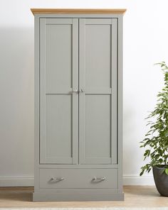 a tall gray cabinet with two drawers and a potted plant in front of it