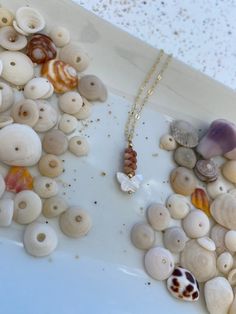 sea shells and seashells are arranged on a white plate with a gold chain