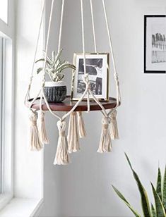 a potted plant sitting on top of a wooden shelf