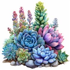 a bunch of colorful succulents are growing out of some rocks and gravel