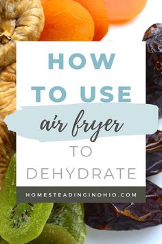 the words how to use air fryer to dehydraate on top of dried fruit