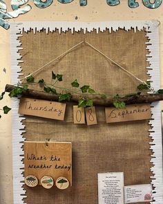 a bulletin board that has some plants growing on it and hanging from the wall with clothes pins