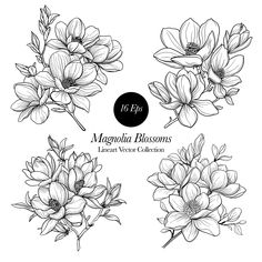 four black and white flowers on a white background with the text, 16 epsp