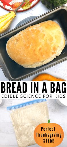 bread in a bag edible science for kids - perfect thanksgiving stemy activity to learn