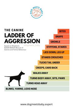 the canine ladder of aggression is shown in this graphic above it's title page