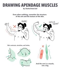 how to draw an appendage muscles for children and adults with step - by - step instructions