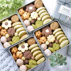 four tins filled with assorted cookies on top of sheet music paper next to potted plant