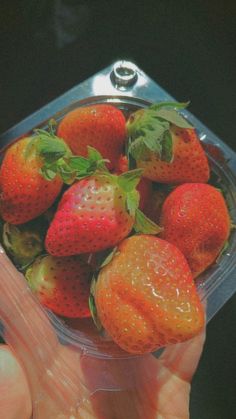 a hand holding a plastic container full of strawberries