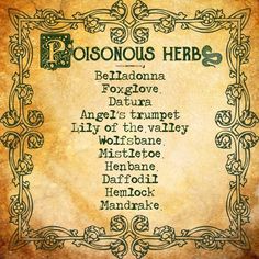 Poisonous Plants, Herbal Magic, Witch Stuff