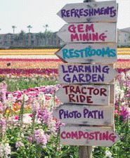 a wooden sign with many different signs on it's sides in front of flowers