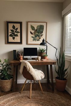 a desk with a computer, plants and pictures on the wall