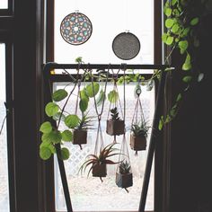 some plants are hanging from a window sill