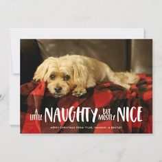 Christmas Holiday Photos, Holiday Design Card, Elite Socks, Christmas Party Invitations, Card A, Christmas Postcard, Holiday Photo Cards, Card Reading