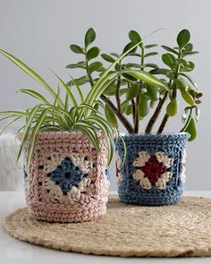 two crocheted planters sitting on top of a rug next to a potted plant