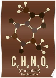 the structure of chono2 chocolate poster