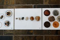 four different types of rocks are displayed on white paper with black and orange circles around them