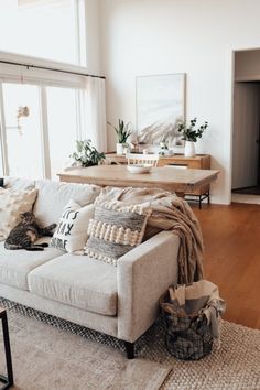 a living room filled with furniture and a cat laying on the couch