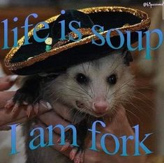 a ferret wearing a sombrero on its head with the caption life is soup i am fork