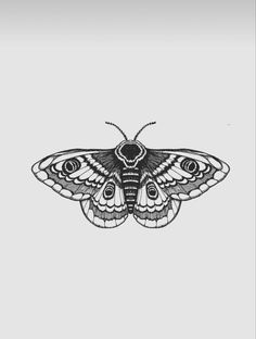 a black and white drawing of a moth