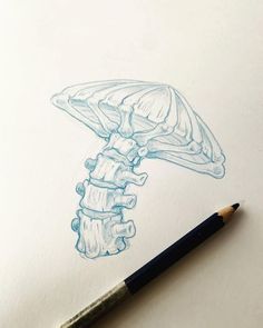 a pencil drawing of a mushroom on paper next to a blue crayon marker