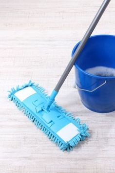 a blue mop and bucket filled with water