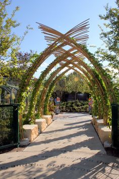 an arch made out of sticks and plants