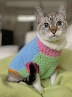 a cat wearing a sweater sitting on top of a blanket